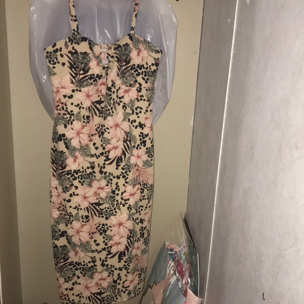 Walmart, color (black, cream, green, pink), and size (M)